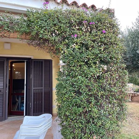 Tavolara Paradise Home Porto San Paolo  Luaran gambar