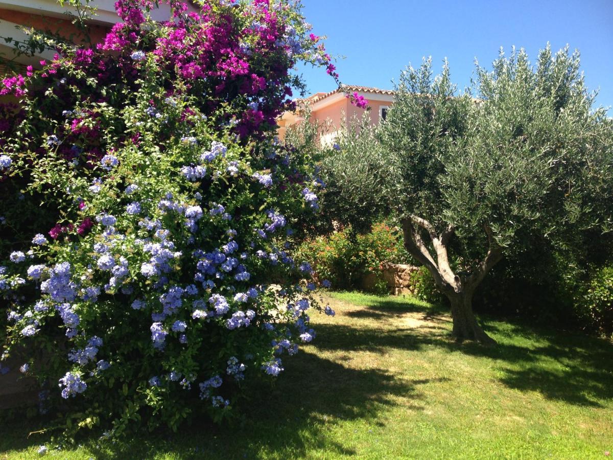 Tavolara Paradise Home Porto San Paolo  Luaran gambar