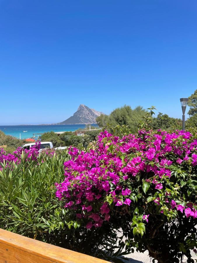 Tavolara Paradise Home Porto San Paolo  Luaran gambar