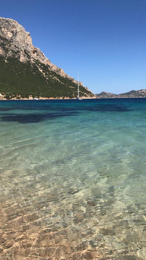 Tavolara Paradise Home Porto San Paolo  Luaran gambar