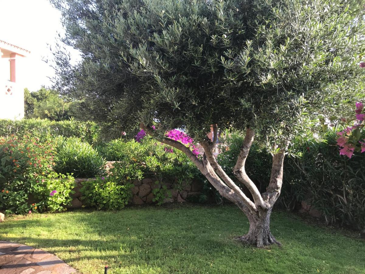 Tavolara Paradise Home Porto San Paolo  Luaran gambar